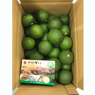 【9月発送】香りさわやか「大分かぼす」(2kg)