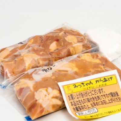 【大分名物】からあげセットA(骨付き＆骨なし合計2kg)【配送不可地域：離島・北海道・沖縄県】