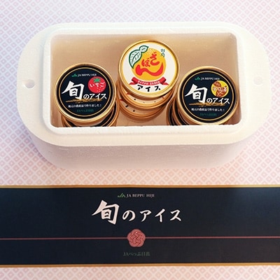 地元特産品アイス3種　9個セット【配送不可地域：離島】