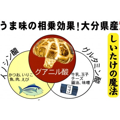 大分県産乾椎茸　旨味のお試し　詰め合わせ