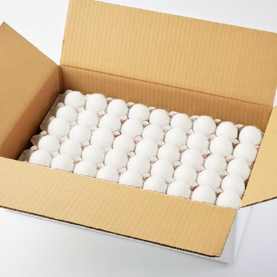 大分生まれのAW飼い有精卵「豊の米卵」10kg(白卵)【配送不可地域：離島】