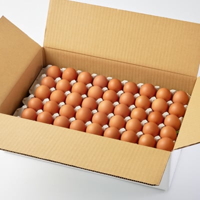 大分生まれのAW飼い有精卵「豊の米卵」10kg(赤卵)【配送不可地域：離島】