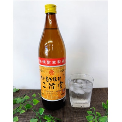 おおいた冠地どりの岩塩焼き2パック＆二階堂20度(900ml)2本セット【複数個口で配送】【配送不可地域：離島】