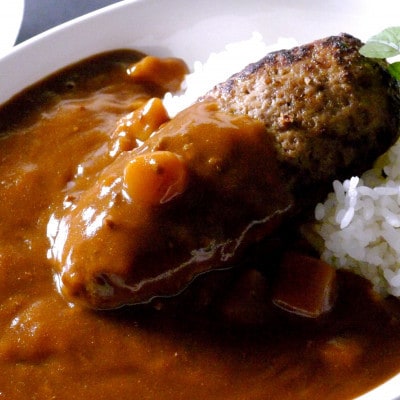 【毎月定期便】【全国テレビで絶賛】マインズハンバーグ(12個セット)　全12回【配送不可地域：離島】