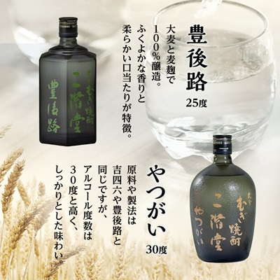 大分むぎ焼酎　二階堂吉四六つぼ・吉四六瓶・豊後路・やつがい(720ml)4本セット
