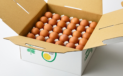 大分生まれのAW飼い有精卵「豊の米卵」60個入り【配送不可地域：離島】