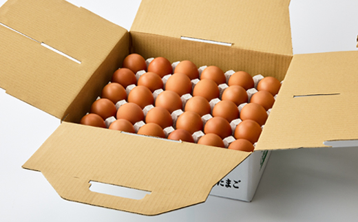 大分生まれのAW飼い有精卵「豊の米卵」30個入り【配送不可地域：離島】