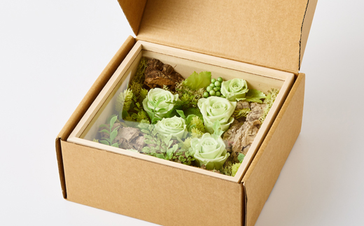 プリザーブドフラワー緑