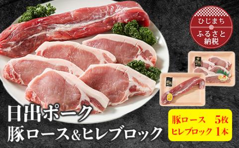 【日出ポーク】豚ロース100g×5枚+ヒレブロック1本【配送不可地域：離島】