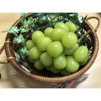 【先行受付・2024年8月上旬発送開始】大粒であまいシャインマスカット(700g以上×3房)【配送不可地域：離島】