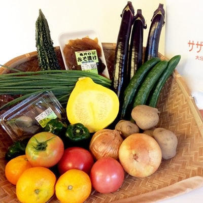 産地直送!旬の朝採れ野菜のセット(9～13種程度)【配送不可地域：離島】