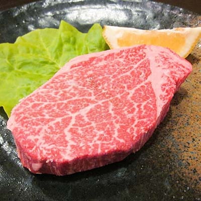 肉質4等級以上のお肉 おおいた和牛シャトウブリアンステーキ(100g×5枚)【配送不可地域：離島】