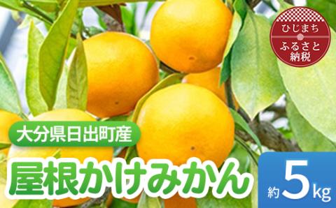 【1月より発送】屋根かけみかん 約5kg(ダンボール箱入り)