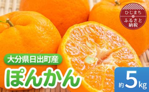 【12月中旬より発送】ぽんかん 約5kg(ダンボール箱入り)