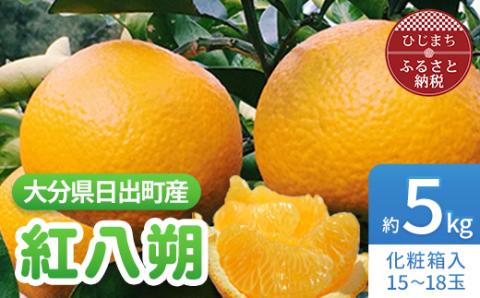 【2026年3月発送】紅八朔　約5kg(化粧箱入り)