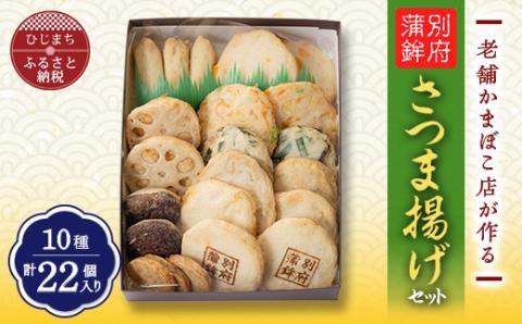 老舗蒲鉾店のさつま揚げ(天ぷら) ぜいたくセット 10種/22個入り【配送不可地域：離島】