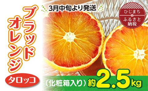 3月下旬より発送 ブラッドオレンジ(タロッコ)2.5kg(11玉～20玉) 化粧箱入り