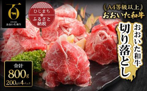 おおいた和牛切り落とし(800g)【配送不可地域：離島】
