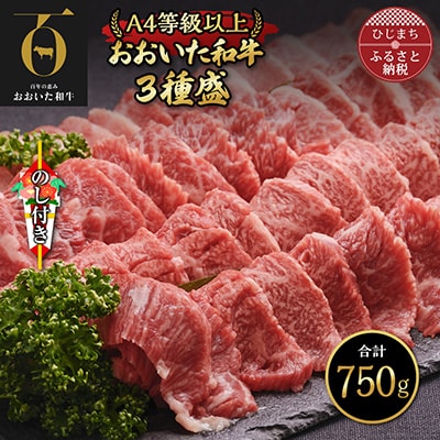【のし付き】おおいた和牛3種盛(合計750g)【配送不可地域：離島】