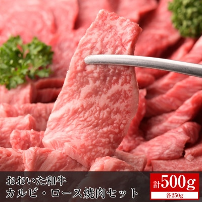 おおいた和牛カルビ・ロース焼肉セット【合計500g】【配送不可地域：離島】