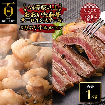 【のし付き】【お中元】おおいた和牛サーロインステーキ＆ホルモン(合計1kg)【配送不可地域：離島】