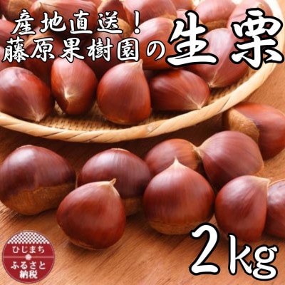 産地直送!藤原果樹園の生栗厳選2キロ【配送不可地域：離島】
