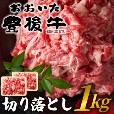 おおいた豊後牛切り落とし 1kg(500g×2P)(日出町)【配送不可地域：離島】