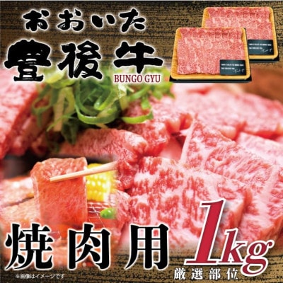おおいた豊後牛焼肉用 1kg(500g×2P)(日出町)【配送不可地域：離島】