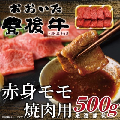 おおいた豊後牛赤身モモ焼肉用 500g(日出町)【配送不可地域：離島】