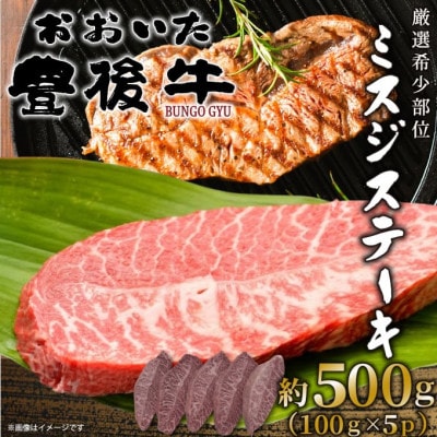 【厳選希少部位】おおいた豊後牛ミスジステーキ 約500g(100g×5P)(日出町)【配送不可地域：離島】