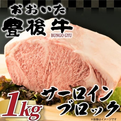 【厳選部位】おおいた豊後牛サーロインブロック(1kg)(日出町)【配送不可地域：離島】