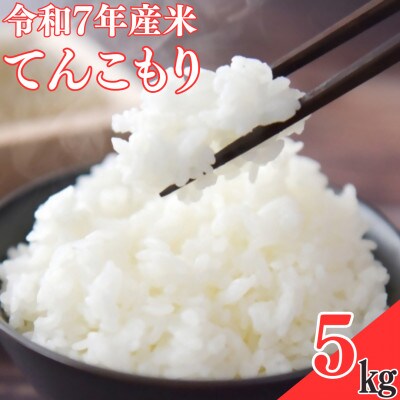 【令和7年産米】てんこもり5kg