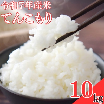 【令和7年産米】てんこもり10kg