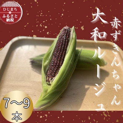 大分県日出町産 大和ルージュ【赤ずきんちゃん】7～9本【配送不可地域：離島】
