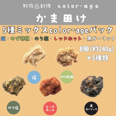 彩りからあげ　お好みミックスパック(5種類)　Bセット【配送不可地域：離島】