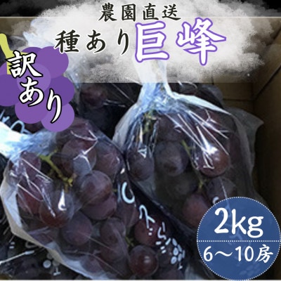 【訳あり】巨峰(種あり) 約2kg(6～10房)【配送不可地域：離島】