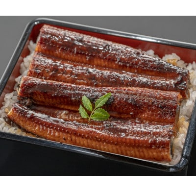 国産うなぎ蒲焼2尾(日出町)【配送不可地域：離島】