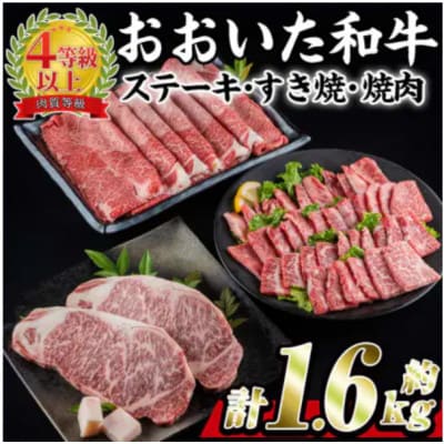 おおいた和牛3種セット 合計1.66kg(サーロインステーキ・すき焼き/しゃぶしゃぶ用・焼肉用)【配送不可地域：離島】