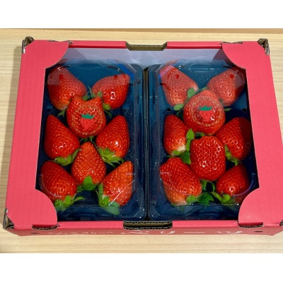 野上農園の土耕栽培ベリーツ 計600g【配送不可地域：離島】