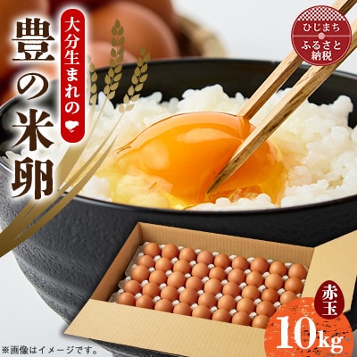 大分生まれのAW飼い有精卵「豊の米卵」10kg(赤卵)【配送不可地域：離島】
