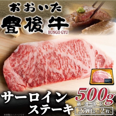 【毎月定期便】おおいた豊後牛サーロインステーキセット 500g(250g×2枚)(日出町)全3回【配送不可地域：離島】