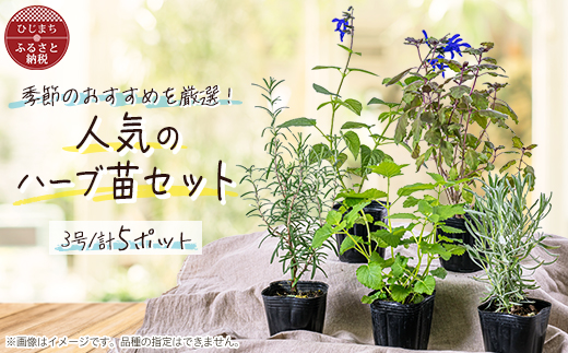ガーデニング に欠かせない! 人気の ハーブ苗 5ポットセット【3号ポット】