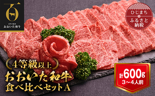 おおいた和牛 焼肉にピッタリ!牛肉の食べ比べセットA(上カルビ＆上ロース)(合計600g)3～4人前【配送不可地域：離島】