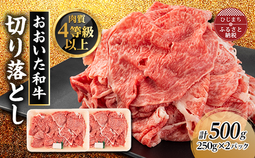 おおいた和牛　切り落とし(500g)【配送不可地域：離島】