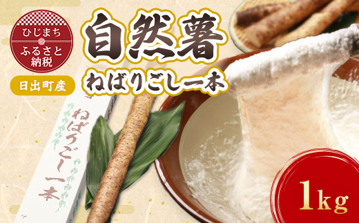 【数量限定】日出町産自然薯「ねばりごし一本」 (1kg)