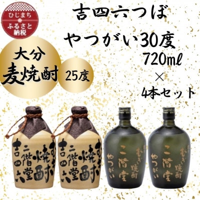大分むぎ焼酎　二階堂吉四六つぼ25度2本とやつがい30度2本(720ml)4本セット