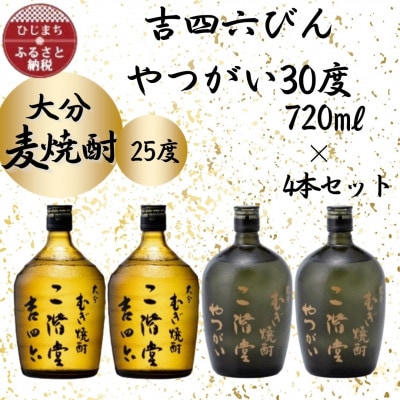 大分むぎ焼酎　二階堂吉四六瓶25度2本とやつがい30度2本(720ml)4本セット