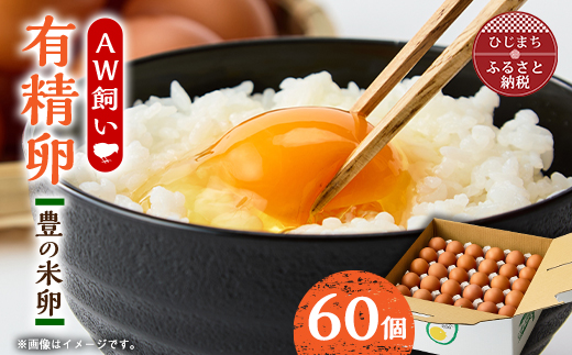 大分生まれのAW飼い有精卵「豊の米卵」60個入り【配送不可地域：離島】