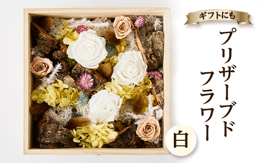 プリザーブドフラワー白