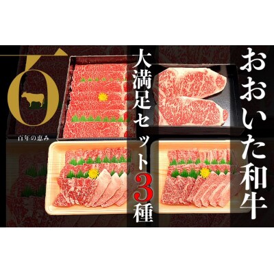 おおいた和牛3種セット 合計1.66kg(サーロインステーキ・すき焼き/しゃぶしゃぶ用・焼肉用)【配送不可地域：離島】